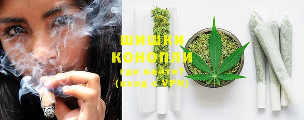 мдпв Заводоуковск