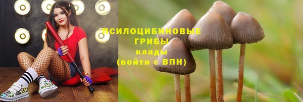 mdpv Заволжье