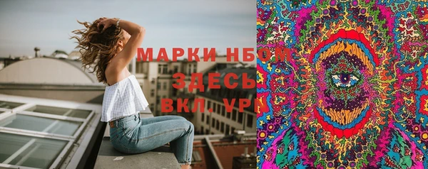 мдпв Заводоуковск