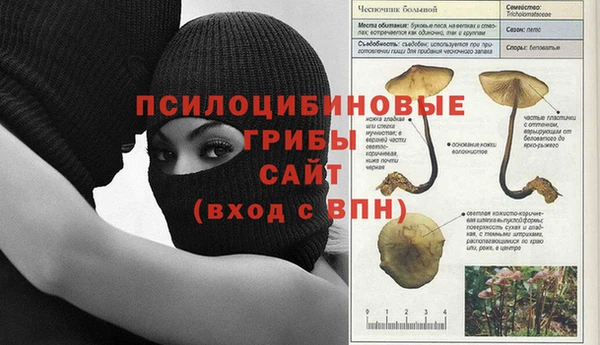 сатива Елабуга