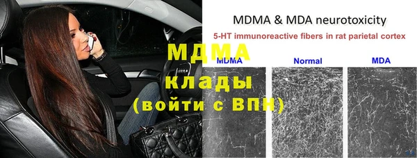 сатива Елабуга
