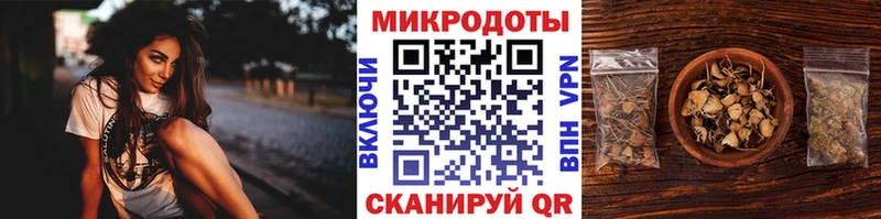 Псилоцибиновые грибы Psilocybine cubensis Калачинск